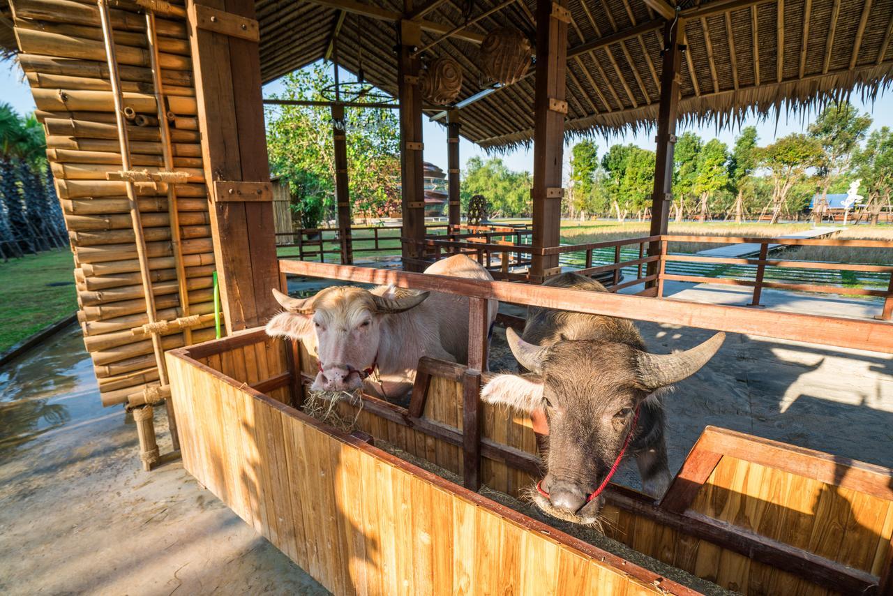 The Buffalo Amphawa Samut Songkhram Eksteriør bilde